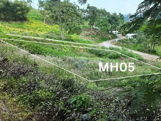 ขาย ที่ดิน ใน เกาะสมุย, สุราษฎร์ธานี