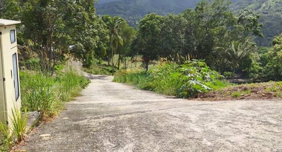 ขาย ที่ดิน ใน เกาะสมุย, สุราษฎร์ธานี