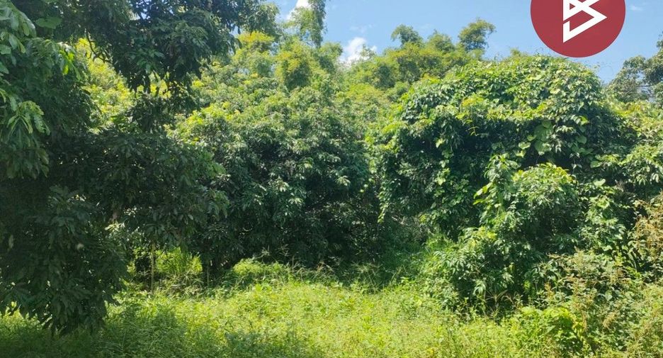 出售 土地 在 Sikhio, Nakhon Ratchasima