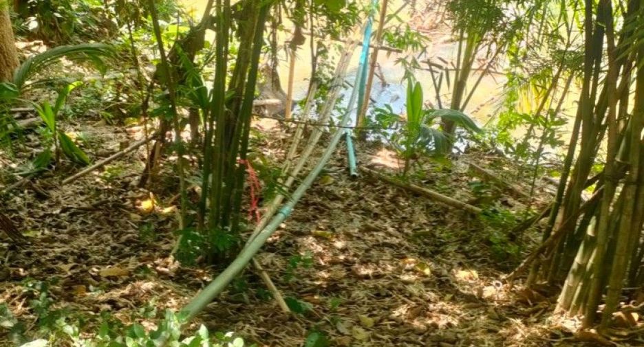 出售 土地 在 Sikhio, Nakhon Ratchasima