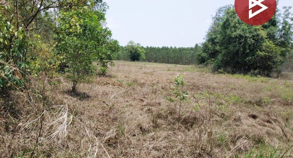 Terreno en venta en Na Di, Prachin Buri