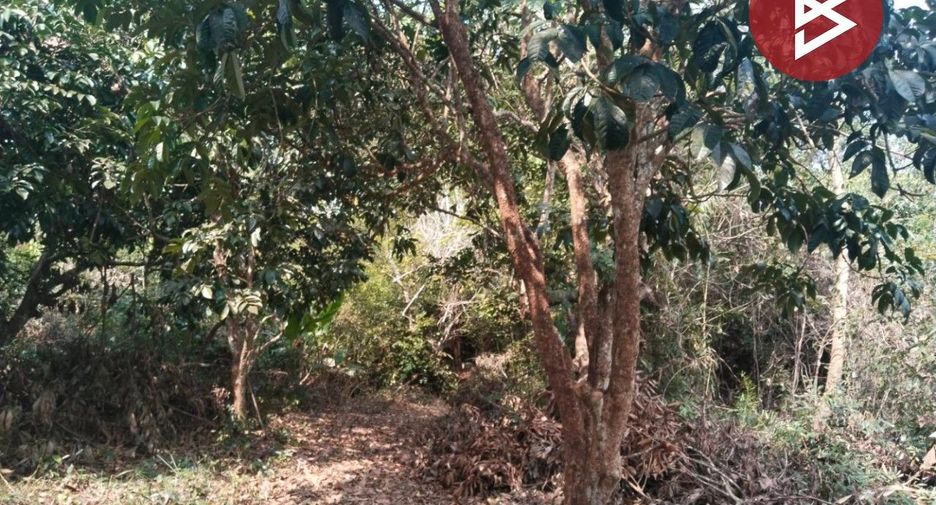 For sale land in Tha Mai, Chanthaburi