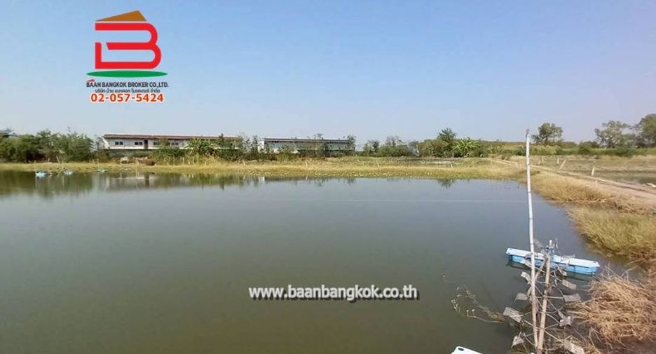 À vendre terrain à Mueang Chachoengsao, Chachoengsao