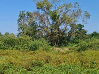 For sale land in Mueang Chiang Rai, Chiang Rai