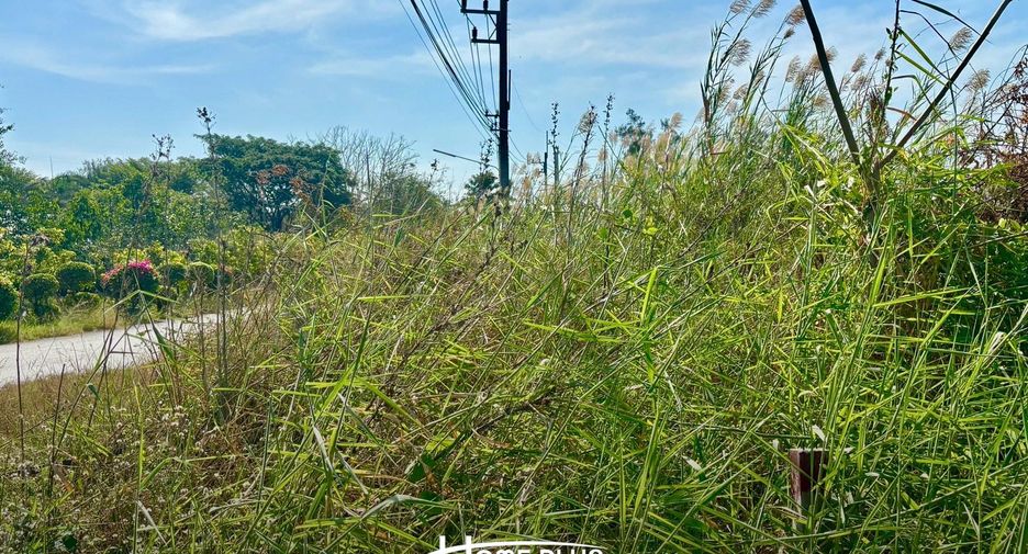For sale land in Bang Nam Priao, Chachoengsao