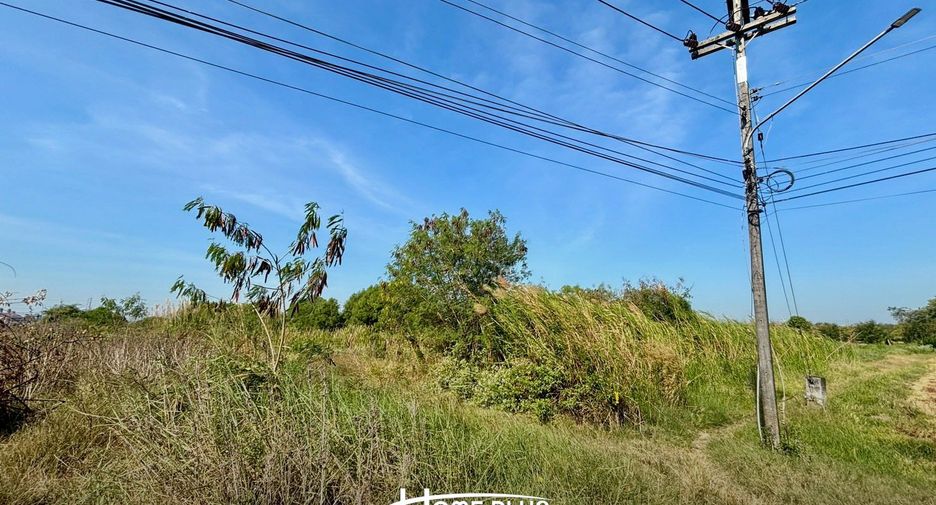 For sale land in Bang Nam Priao, Chachoengsao