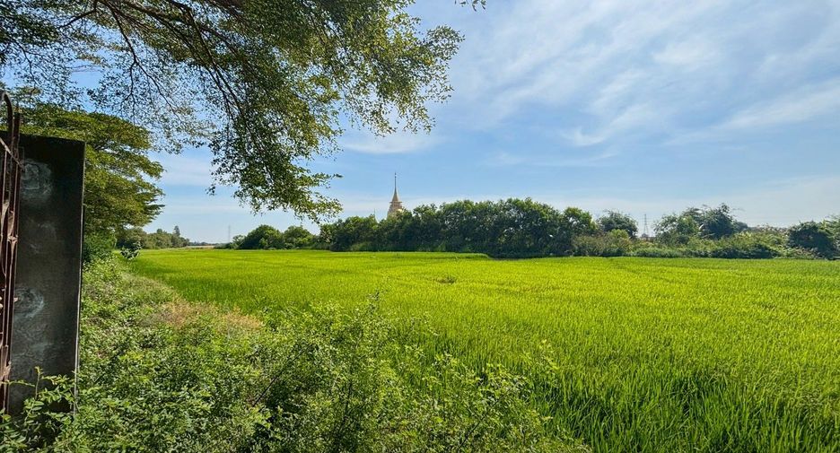 For sale land in Bang Nam Priao, Chachoengsao