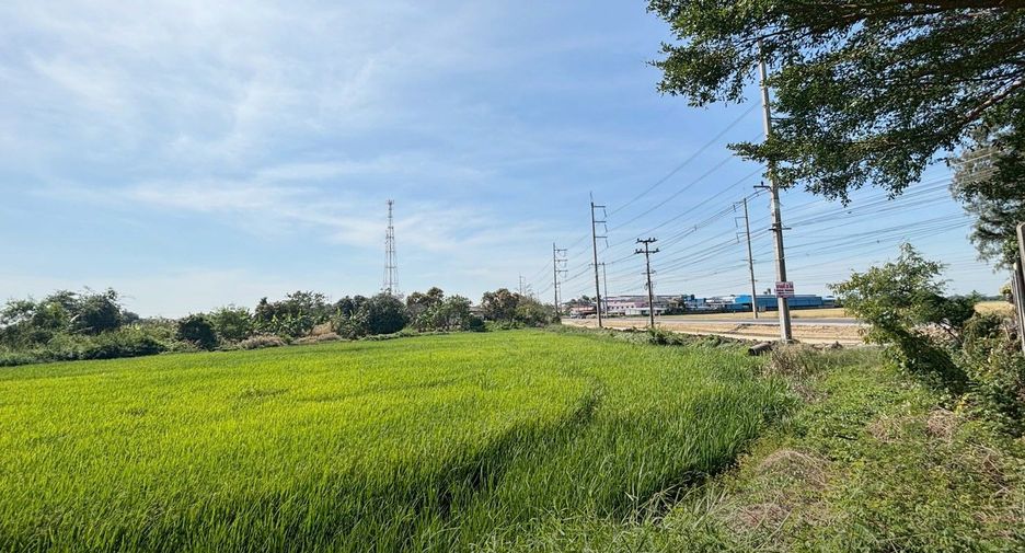 For sale land in Bang Nam Priao, Chachoengsao