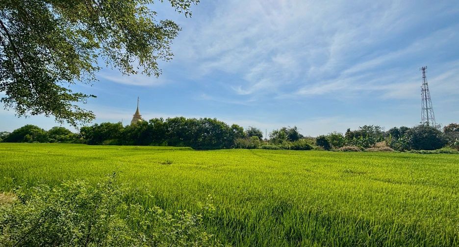 For sale land in Bang Nam Priao, Chachoengsao