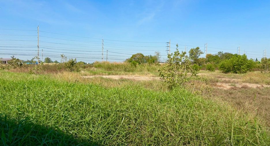 For sale land in Bang Nam Priao, Chachoengsao