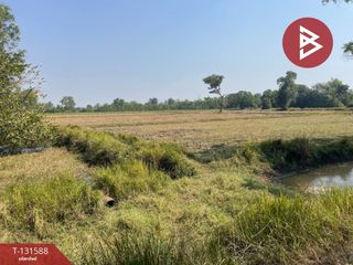 出售 土地 在 Prakhon Chai, Buri Ram
