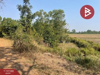 出售 土地 在 Prakhon Chai, Buri Ram