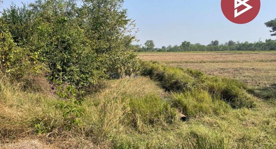 For sale land in Prakhon Chai, Buriram
