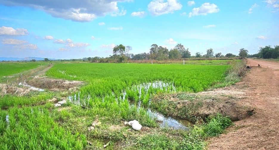À vendre terrain à Pak Phli, Nakhon Nayok