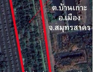 ขาย ที่ดิน ใน เมืองสมุทรสาคร, สมุทรสาคร