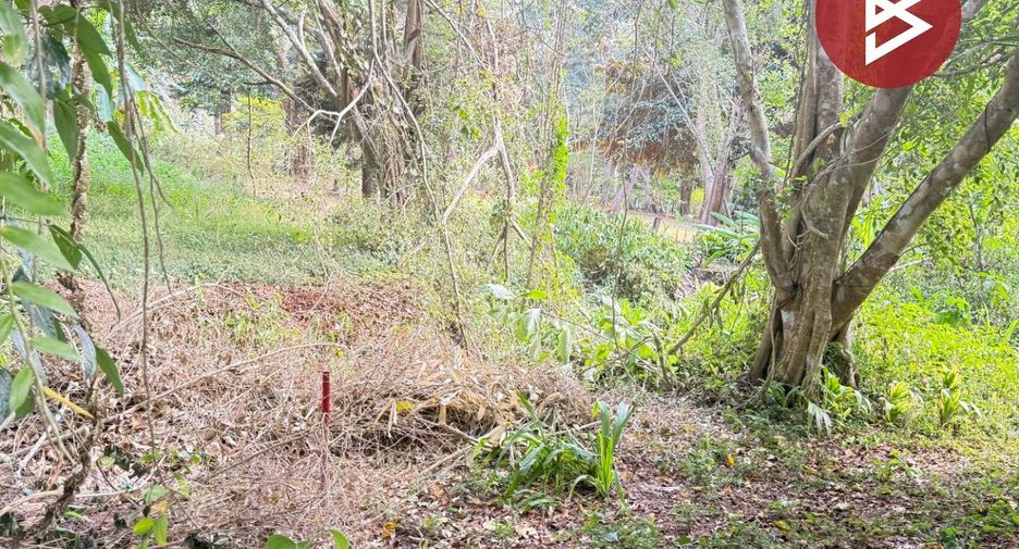 Terreno en venta en Mae Rim, Chiang Mai