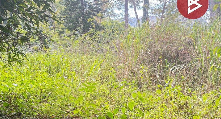 Terreno en venta en Mae Rim, Chiang Mai