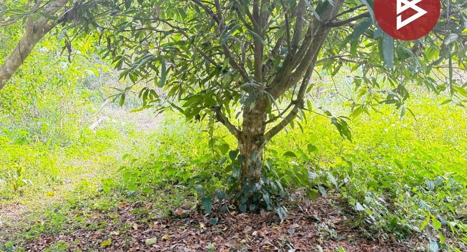 Terreno en venta en Mae Rim, Chiang Mai