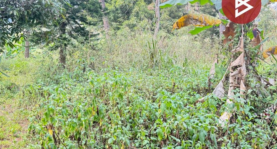 Terreno en venta en Mae Rim, Chiang Mai