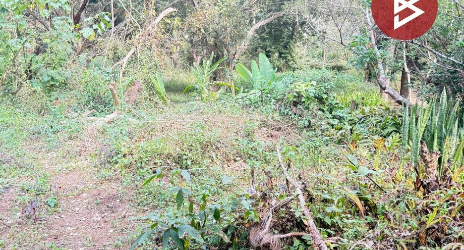 Terreno en venta en Mae Rim, Chiang Mai