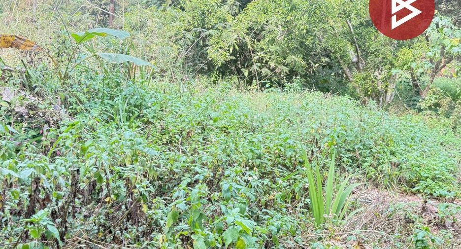 Terreno en venta en Mae Rim, Chiang Mai