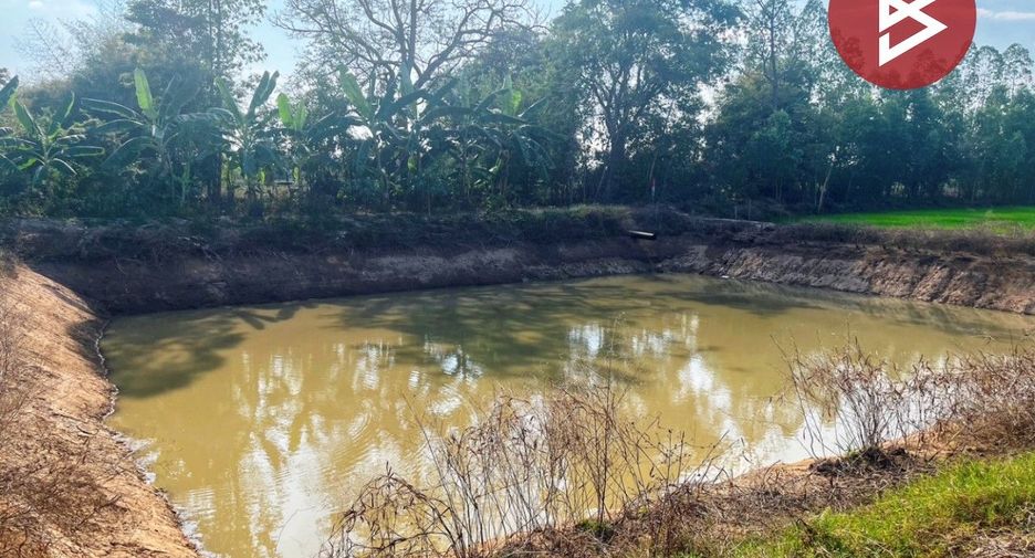 For sale land in Sawang Arom, Uthai Thani