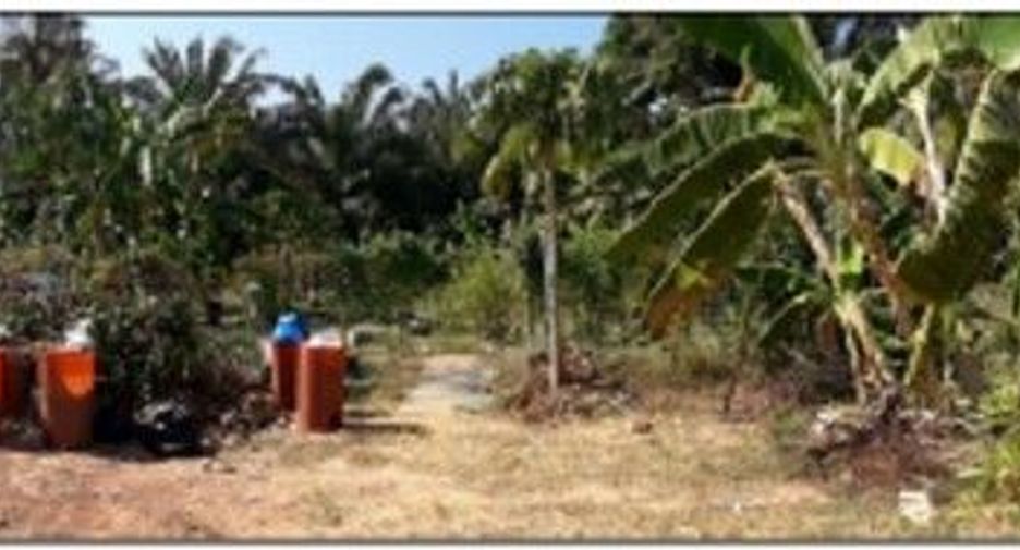 For sale land in Khlong Thom, Krabi