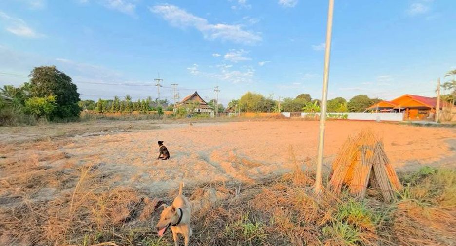 For sale land in Bang Saray, Pattaya
