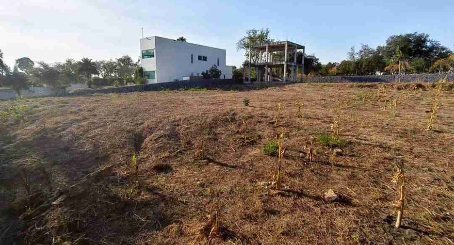 À vendre terrain à Bang Lamung, Chonburi