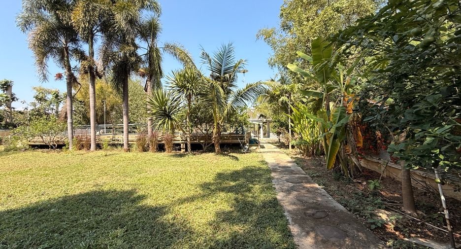 For rent 3 bedrooms house in Mae Rim, Chiang Mai