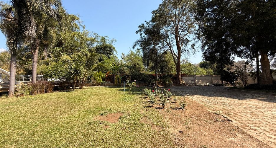 For rent 3 bedrooms house in Mae Rim, Chiang Mai
