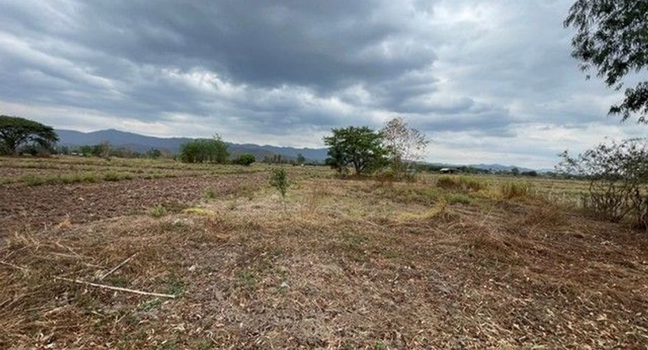 À vendre terrain à Mueang Phayao, Phayao