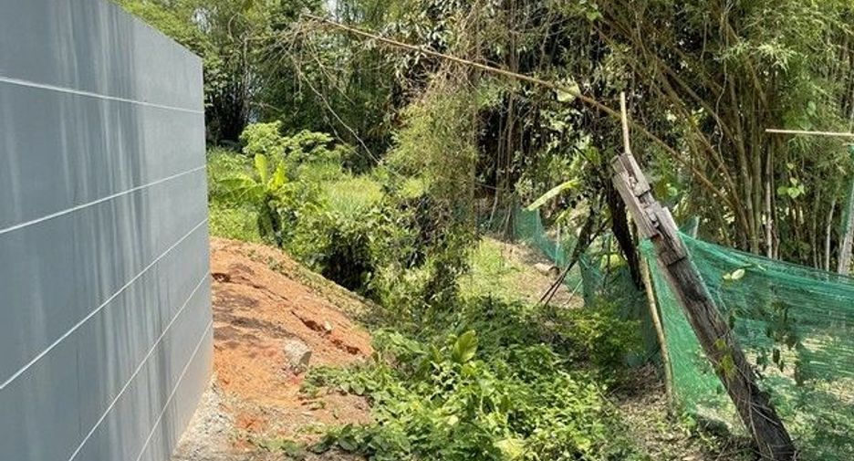 For sale land in Samoeng, Chiang Mai