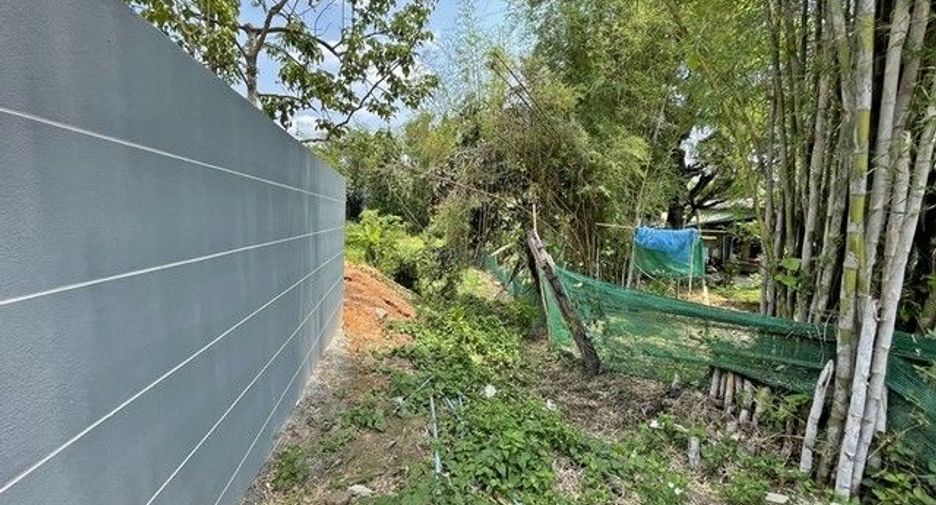 For sale land in Samoeng, Chiang Mai