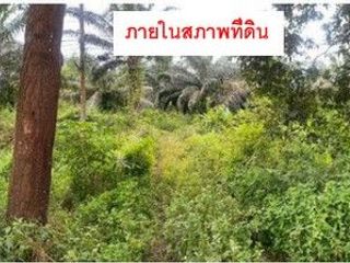 ขาย ที่ดิน ใน คลองท่อม, กระบี่