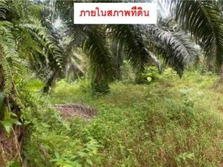 ขาย ที่ดิน ใน คลองท่อม, กระบี่
