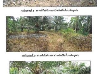 ขาย ที่ดิน ใน คลองท่อม, กระบี่