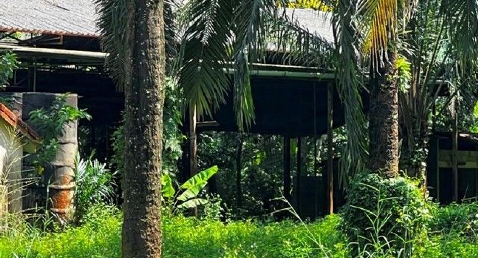 Terreno en venta en Khlong Thom, Krabi