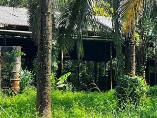 出售 土地 在 Khlong Thom, Krabi