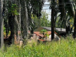 出售 土地 在 Khlong Thom, Krabi