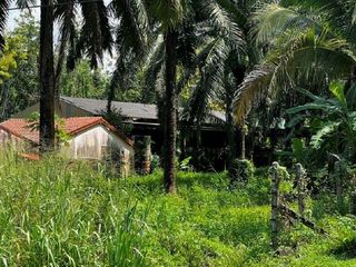 出售 土地 在 Khlong Thom, Krabi