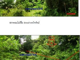 出售 土地 在 Khlong Thom, Krabi