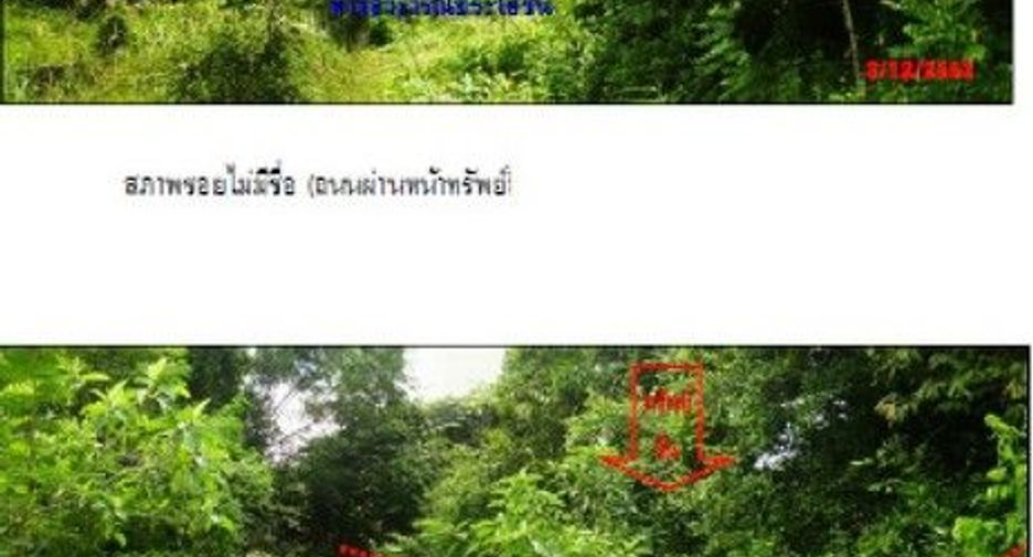 ขาย ที่ดิน ใน คลองท่อม, กระบี่