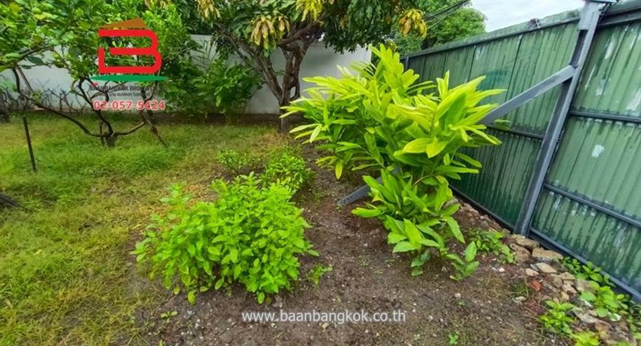 For sale land in Chatuchak, Bangkok