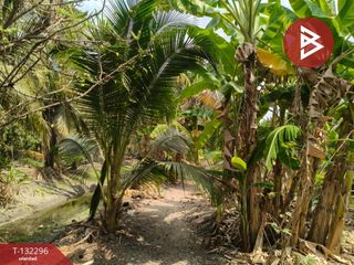 For sale land in Ban Phaeo, Samut Sakhon