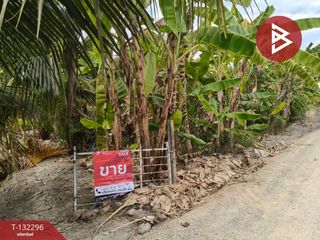 For sale land in Ban Phaeo, Samut Sakhon