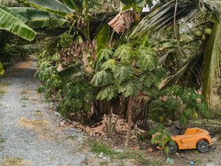 For sale land in Ban Phaeo, Samut Sakhon