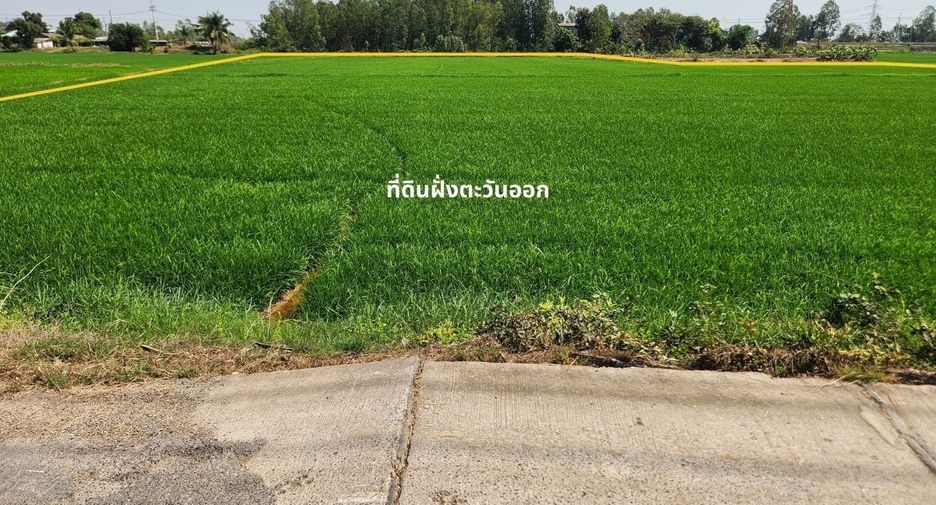 ขาย ที่ดิน ใน บางไทร, พระนครศรีอยุธยา