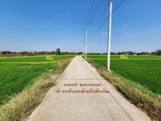 ขาย ที่ดิน ใน บางไทร, พระนครศรีอยุธยา