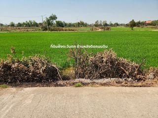 ขาย ที่ดิน ใน บางไทร, พระนครศรีอยุธยา